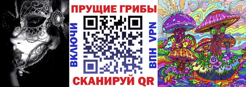 Псилоцибиновые грибы прущие грибы Купить где Теберда
